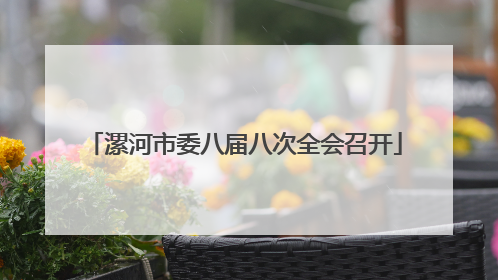 漯河市委八届八次全会召开