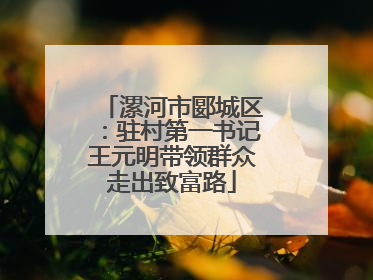 漯河市郾城区：驻村第一书记王元明带领群众走出致富路