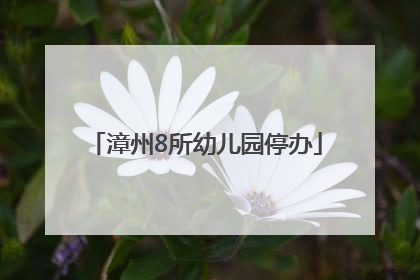 漳州8所幼儿园停办
