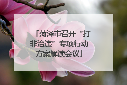 菏泽市召开“打非治违”专项行动方案解读会议