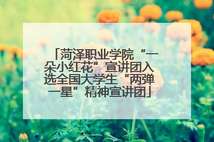 菏泽职业学院“一朵小红花”宣讲团入选全国大学生“两弹一星”精神宣讲团