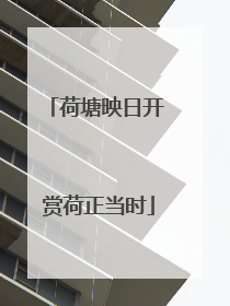 荷塘映日开 赏荷正当时