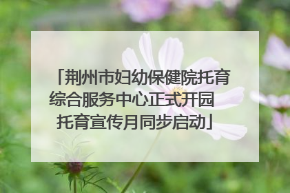荆州市妇幼保健院托育综合服务中心正式开园 托育宣传月同步启动