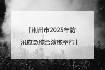 荆州市2025年防汛应急综合演练举行