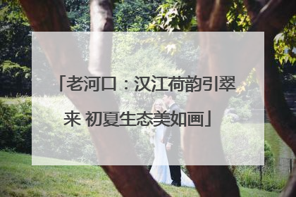 老河口：汉江荷韵引翠来 初夏生态美如画