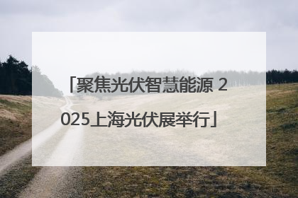聚焦光伏智慧能源 2025上海光伏展举行