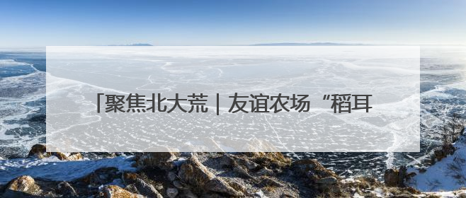 聚焦北大荒｜友谊农场“稻耳轮作”产业振兴“花开两朵”
