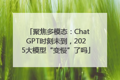 聚焦多模态：ChatGPT时刻未到，2025大模型“变慢”了吗