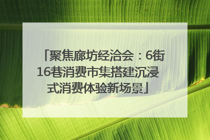 聚焦廊坊经洽会：6街16巷消费市集搭建沉浸式消费体验新场景