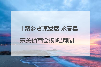 聚乡贤谋发展 永春县东关镇商会扬帆起航