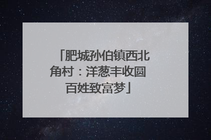 肥城孙伯镇西北角村：洋葱丰收圆百姓致富梦