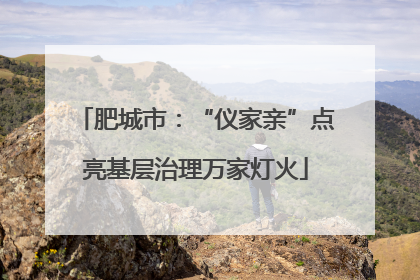 肥城市：“仪家亲”点亮基层治理万家灯火