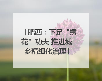 肥西：下足“绣花”功夫 推进城乡精细化治理