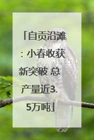 自贡沿滩：小春收获新突破 总产量近3.5万吨
