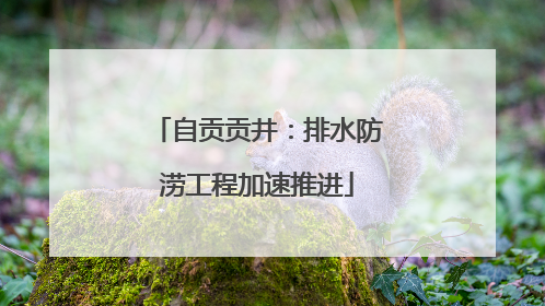 自贡贡井：排水防涝工程加速推进