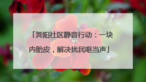 舞阳社区静音行动：一块内胎皮，解决扰民哐当声