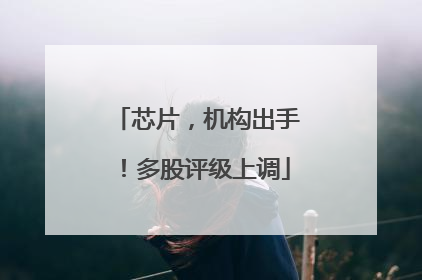芯片，机构出手！多股评级上调