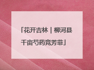 花开吉林｜柳河县千亩芍药竞芳菲