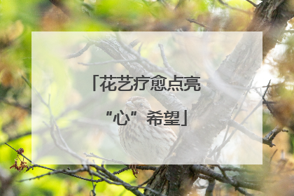 花艺疗愈点亮“心”希望