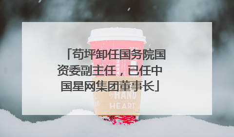 苟坪卸任国务院国资委副主任，已任中国星网集团董事长