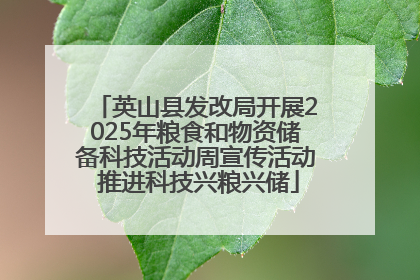 英山县发改局开展2025年粮食和物资储备科技活动周宣传活动 推进科技兴粮兴储