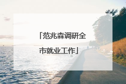 范兆森调研全市就业工作
