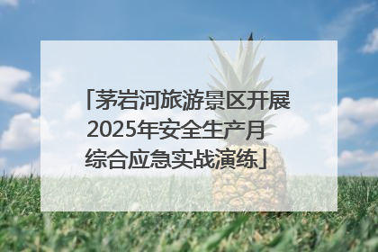 茅岩河旅游景区开展2025年安全生产月综合应急实战演练