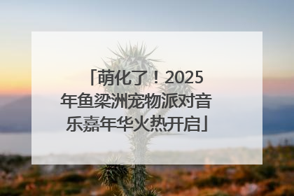 萌化了！2025年鱼梁洲宠物派对音乐嘉年华火热开启
