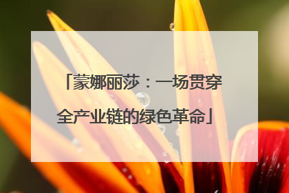 蒙娜丽莎：一场贯穿全产业链的绿色革命