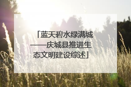 蓝天碧水绿满城——庆城县推进生态文明建设综述