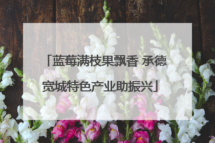 蓝莓满枝果飘香 承德宽城特色产业助振兴