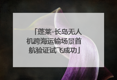 蓬莱-长岛无人机跨海运输场景首航验证试飞成功