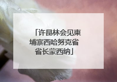 许昆林会见柬埔寨西哈努克省省长蒙西纳