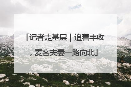 记者走基层｜追着丰收，麦客夫妻一路向北