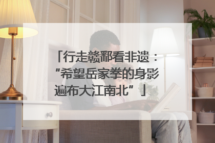 行走赣鄱看非遗：“希望岳家拳的身影遍布大江南北”