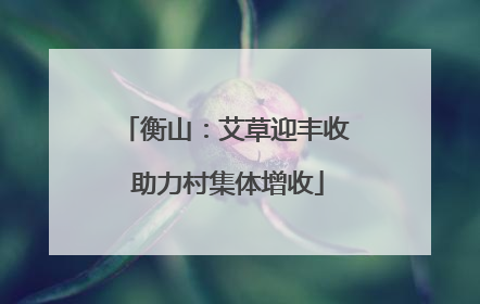 衡山：艾草迎丰收 助力村集体增收