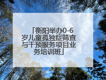衡阳举办0-6岁儿童孤独症筛查与干预服务项目业务培训班