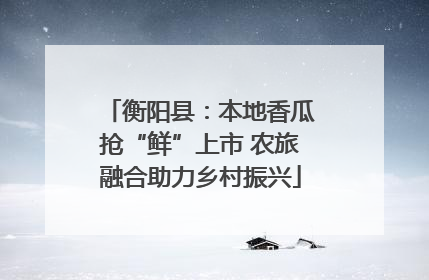 衡阳县：本地香瓜抢“鲜”上市 农旅融合助力乡村振兴