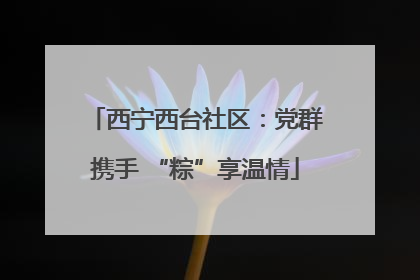西宁西台社区：党群携手 “粽”享温情