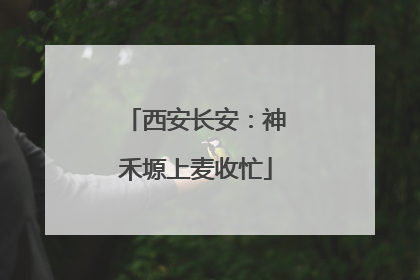 西安长安：神禾塬上麦收忙