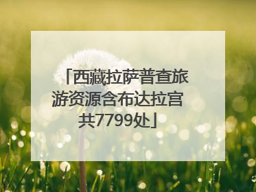 西藏拉萨普查旅游资源含布达拉宫共7799处