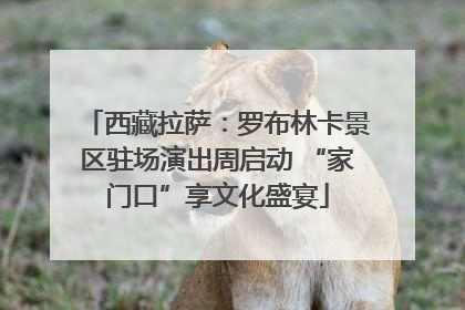 西藏拉萨：罗布林卡景区驻场演出周启动 “家门口”享文化盛宴