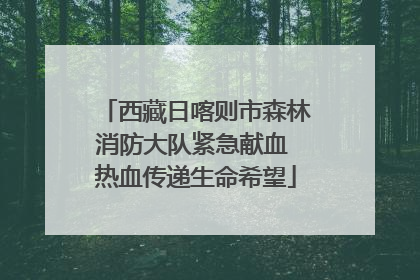 西藏日喀则市森林消防大队紧急献血 热血传递生命希望