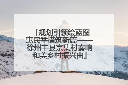 规划引领绘蓝图 惠民举措筑新篇——徐州丰县宗集村奏响和美乡村振兴曲