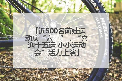 近500名萌娃运动庆“六一”，“喜迎十五运 小小运动会”活力上演