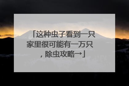 这种虫子看到一只家里很可能有一万只，除虫攻略→