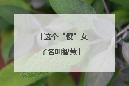 这个“傻”女子名叫智慧