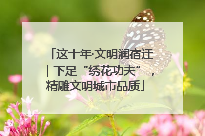 这十年·文明润宿迁｜下足“绣花功夫”，精雕文明城市品质