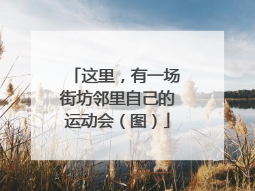 这里，有一场街坊邻里自己的运动会（图）