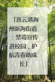 连云港海州新海街道：禁毒宣传进校园，护航青春助成长